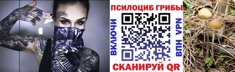 omg ссылка магазин продажи Инсар Псилоцибиновые грибы MAGIC MUSHROOMS